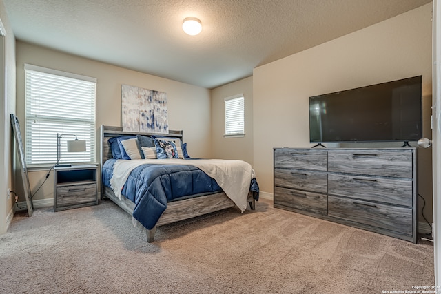 bedroom with carpet and a textured ceiling