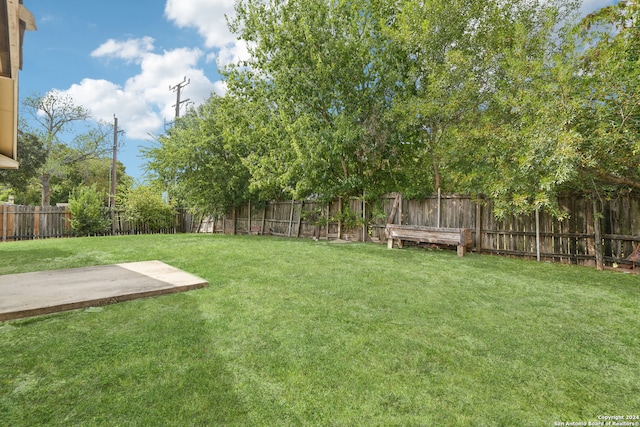 view of yard featuring a patio