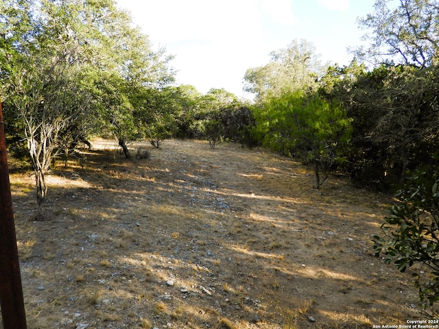 view of nature with a rural view