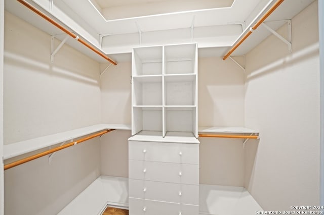 view of walk in closet