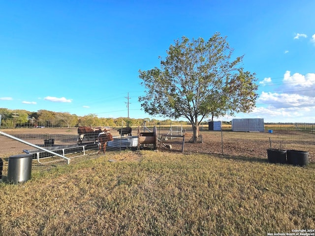 view of yard featuring a rural view