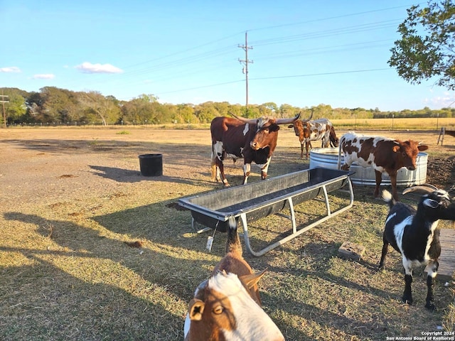 view of yard with a rural view