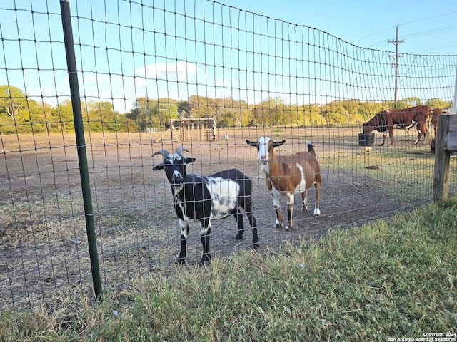 view of horse barn