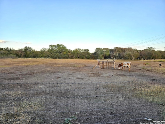 view of yard featuring a rural view