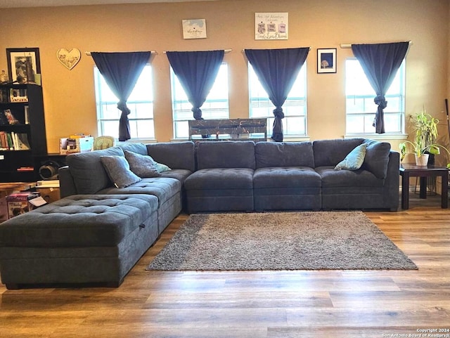 living room with wood-type flooring and plenty of natural light