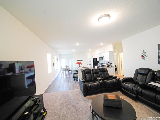 living room with a textured ceiling and hardwood / wood-style flooring