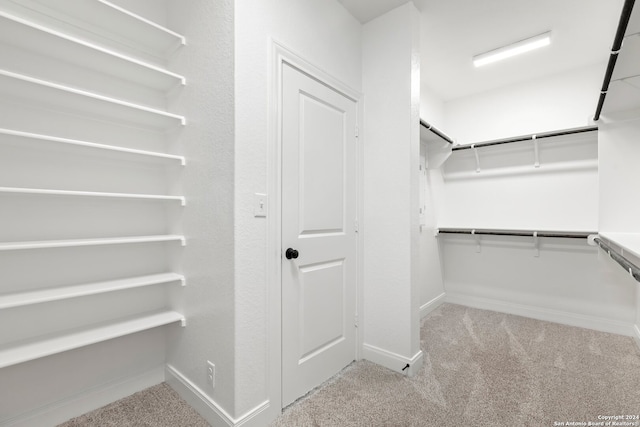 walk in closet with light carpet