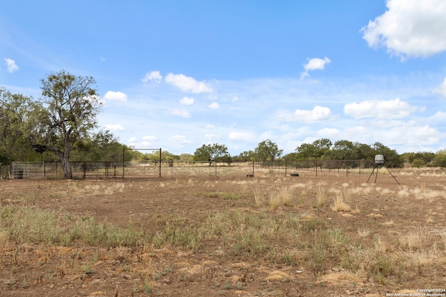 view of local wilderness with a rural view