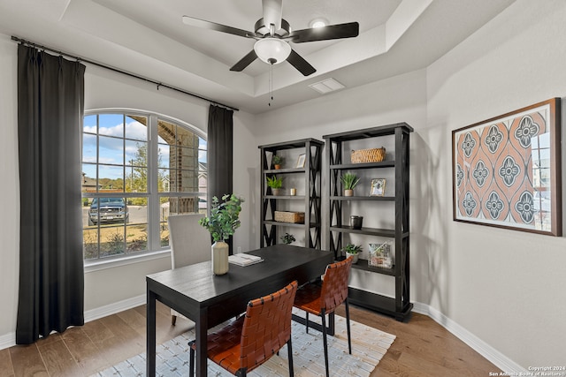 office featuring a wealth of natural light, a tray ceiling, and hardwood / wood-style flooring