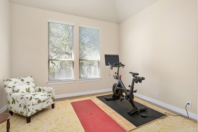 exercise area featuring a healthy amount of sunlight and lofted ceiling