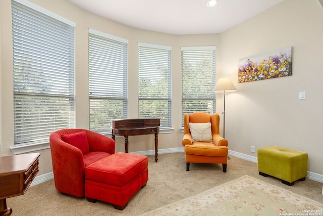 living area with carpet flooring and a healthy amount of sunlight