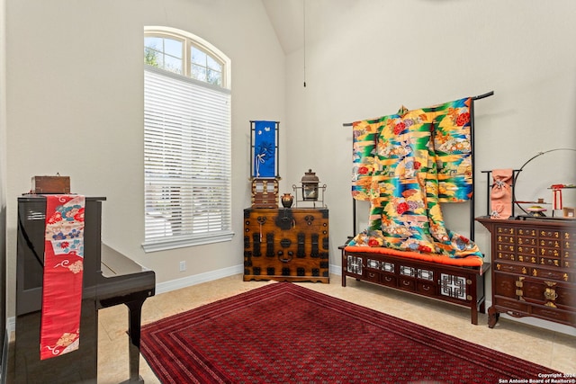 living area with lofted ceiling and carpet floors