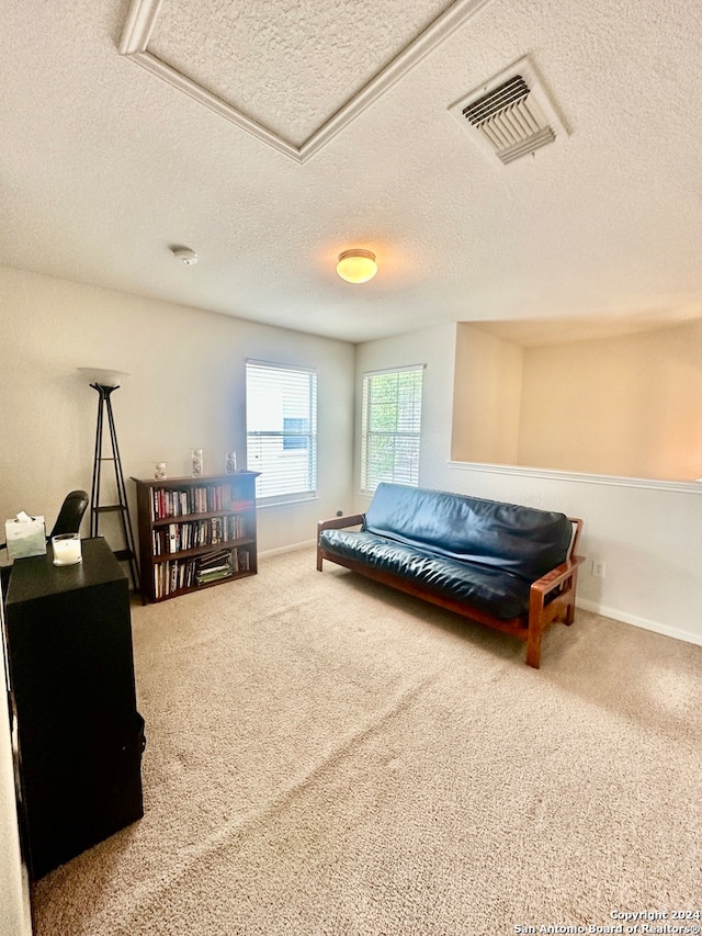 bedroom with carpet and a textured ceiling