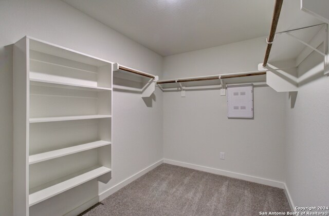 walk in closet featuring electric panel and light colored carpet