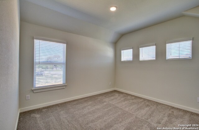 empty room featuring a wealth of natural light, lofted ceiling, and light carpet