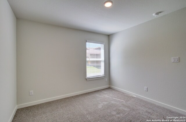 spare room featuring light carpet