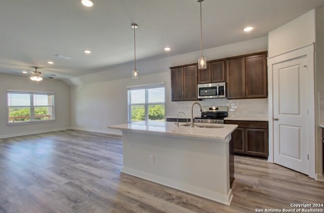 kitchen featuring sink, light hardwood / wood-style flooring, stainless steel appliances, and a wealth of natural light