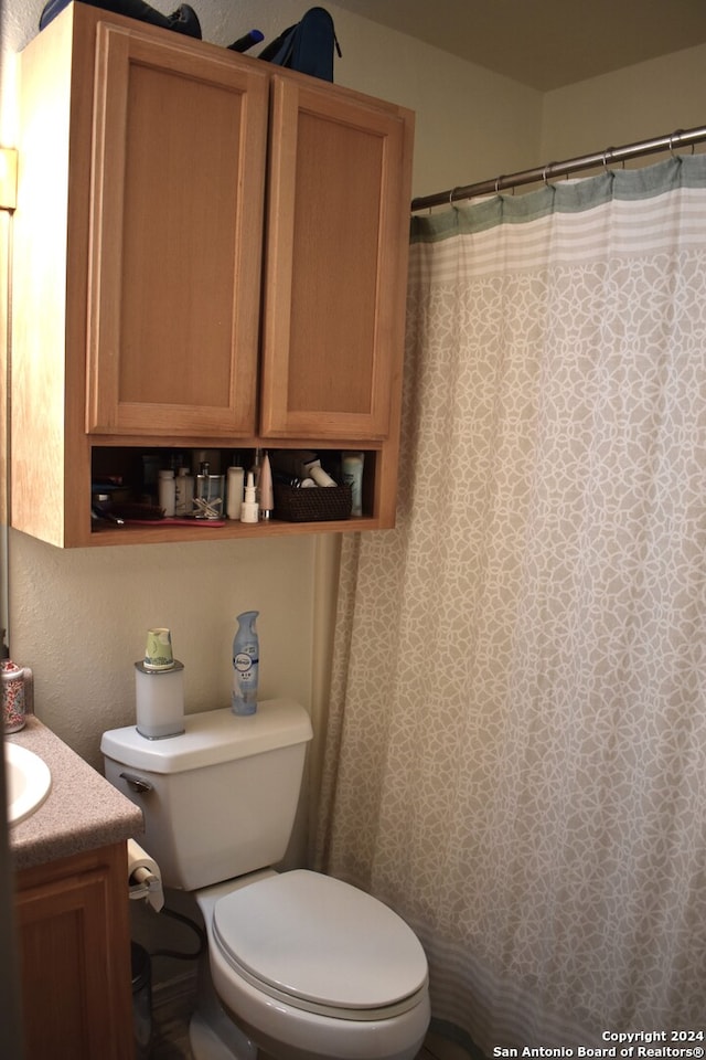 bathroom featuring vanity, toilet, and curtained shower