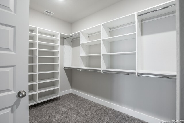 walk in closet featuring dark colored carpet