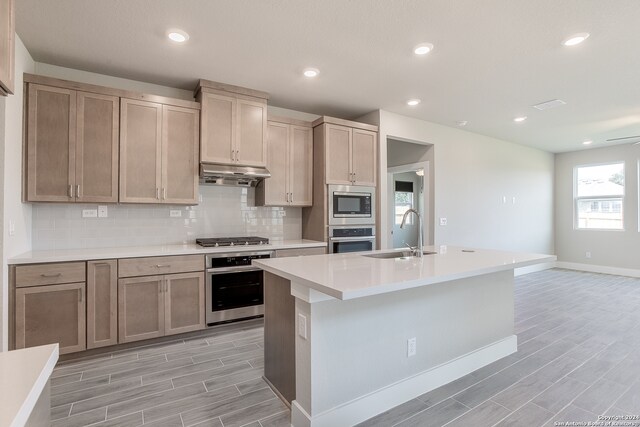 kitchen with sink, an island with sink, light hardwood / wood-style floors, and stainless steel appliances