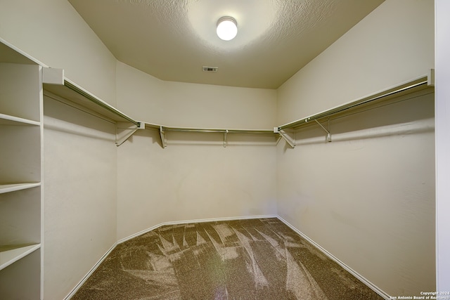 spacious closet featuring carpet flooring