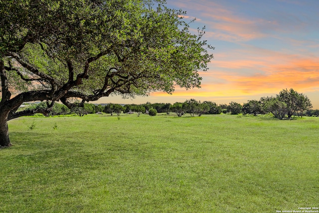 yard at dusk with a rural view