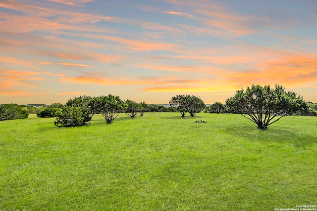 yard at dusk with a rural view