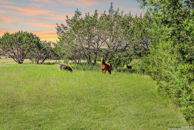 yard at dusk with a rural view