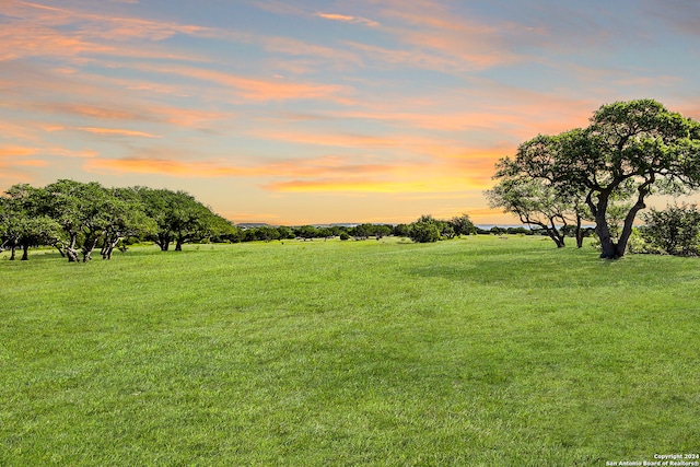 yard at dusk with a rural view