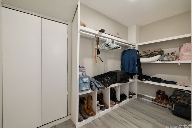 walk in closet with wood-type flooring