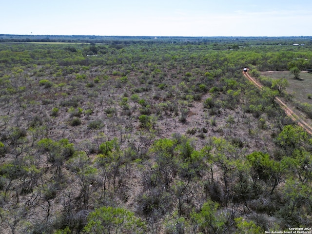 Listing photo 3 for TBD County Road 421, Stockdale TX 78160