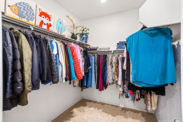 spacious closet with carpet flooring