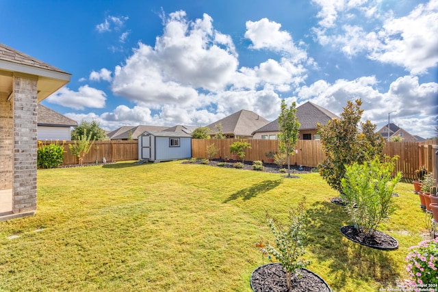 view of yard featuring a storage shed