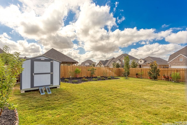 view of yard featuring a shed