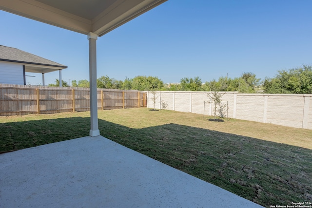 view of yard featuring a patio area