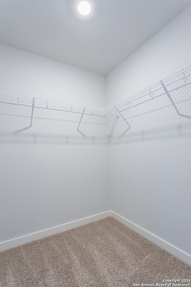 spacious closet featuring carpet flooring