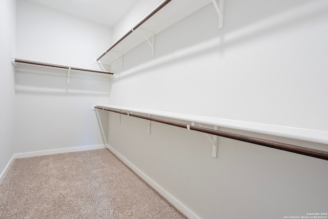 spacious closet with carpet floors