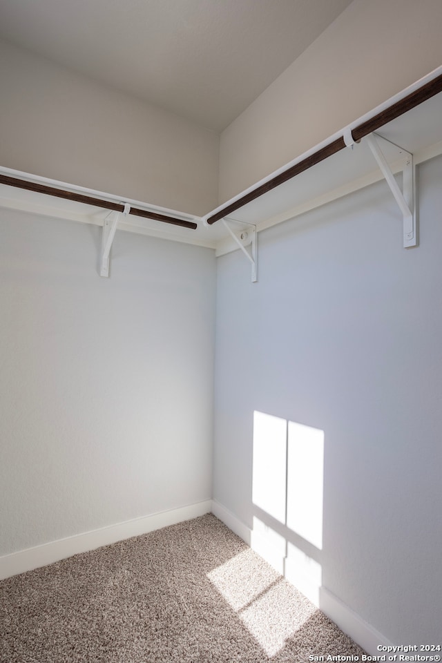 spacious closet featuring carpet