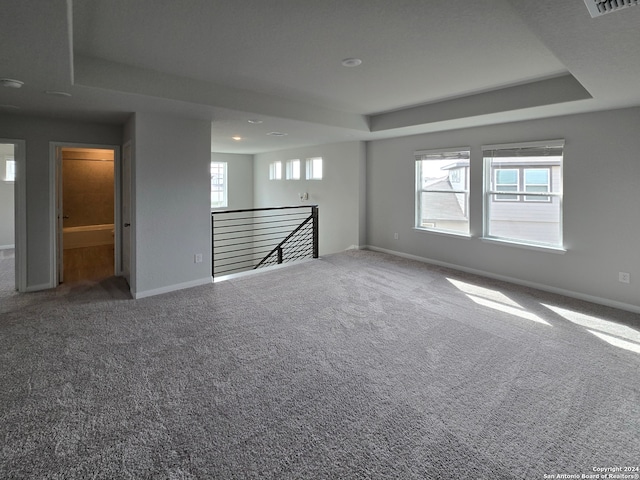 empty room featuring plenty of natural light, a raised ceiling, and carpet floors