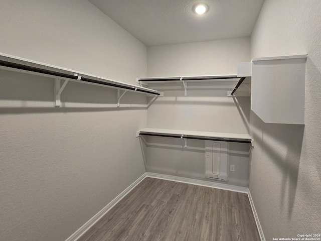 spacious closet featuring dark hardwood / wood-style flooring