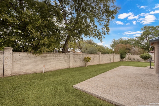 view of yard featuring a patio