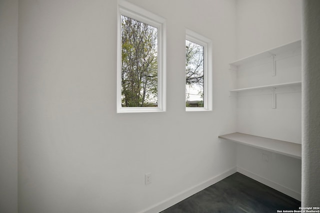 spacious closet featuring dark wood-type flooring