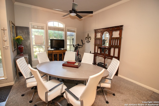 dining area featuring dark colored carpet, ceiling fan, and ornamental molding