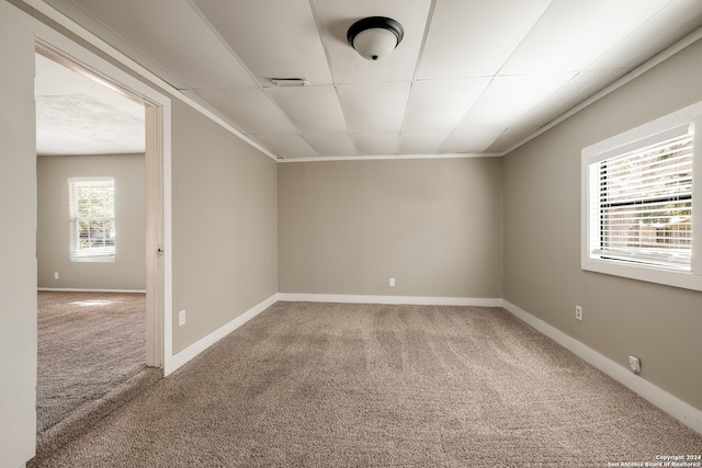 carpeted empty room with crown molding and plenty of natural light