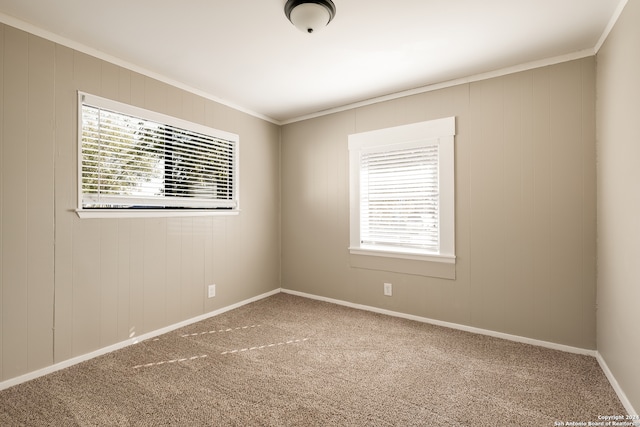 carpeted empty room featuring crown molding and a healthy amount of sunlight