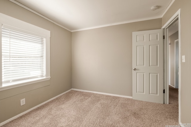 carpeted empty room with crown molding