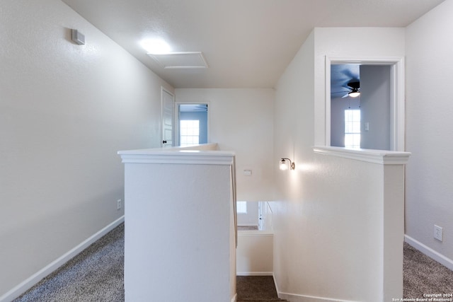 7419 Cedar Farm, San Antonio, TX 78239 - staircase with carpet floors, baseboards, and a healthy amount of sunlight