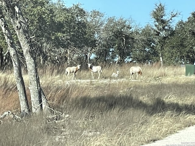 LOT41 Moon Beam Ct, Blanco, TX 78606