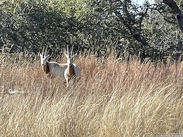 LOT41 Moon Beam Ct, Blanco, TX 78606