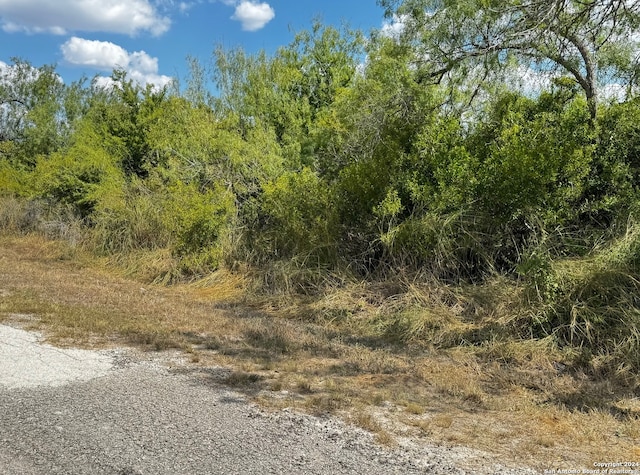 112 Clearview Cir, Sandia TX, 78383 land for sale